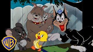 Tom & Jerry | Best Side Characters!  | Classic Cartoon Compilation | @wbkids​