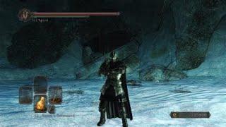 DARK SOULS II Рейме Дымный рыцарь. Без получения урона (НГ++)