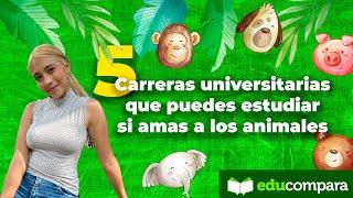 5 carreras universitarias si amas los animales