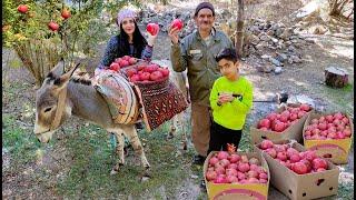 Village Life Iran in Autumn: Amazing Donkey Riding by Village Girl