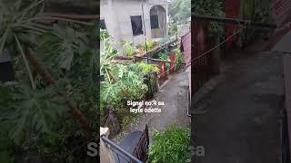 Typhoon Odette LAKAS NG HANGIN