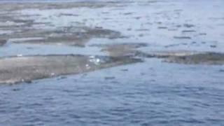 Volga (Ulyanovsk) - Волга (Ульяновск) 3