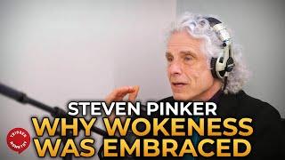 Steven Pinker - Why Young People Embraced Wokeness