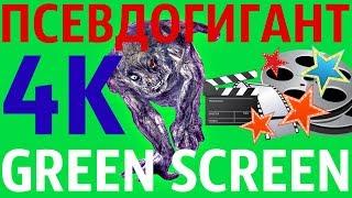 ФУТАЖ - "GREEN SCREEN" CHECK CORPSE ПСЕВДОГИГАНТ (С.Т.А.Л.К.Е.Р.)