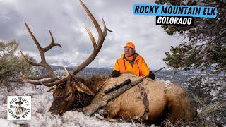 Two Awesome Hunts for Colorado Elk