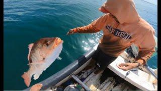 PESCA de PARGO LUNAREJO con CUERDA DE MANO