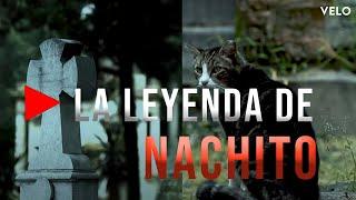 La Leyenda de Nachito #nachito #leyendas