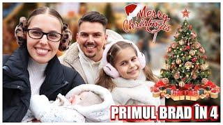 DAILY VLOG  Primul brad în 4 ‍‍‍