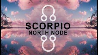 North Node Scorpio / 8th House