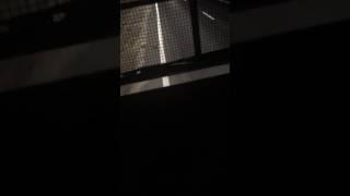 Truck driver hates kangaroos