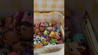 How I organize my Lps!!  #Lps #littlestpetshop #lpscollection