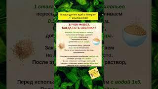 Зачем навоз, когда есть овсянка?  #сад #огород #цветы #дача