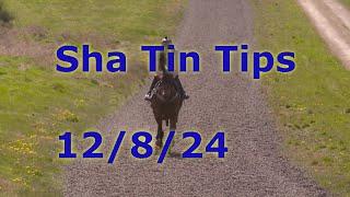 Hong Kong Horse Racing Tips 12/8/2024 - Sha Tin (HKIR)