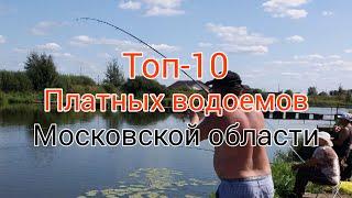 Мисайлово Trout. ТОП-10 Платных водоемов Московской области. #мисайловоtrout