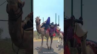 Malwa to Rajasthan #youtubeshorts #madhyapradesh #malwa #rajasthan #shorts #dewasi #life #viral