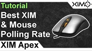 XIM APEX - Best Mouse & XIM Polling Rate Tutorial