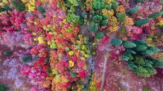 'Unbe-leaf-able' Drone Footage Shows Fall Colors in Northern Utah