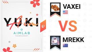 Vaxei vs mrekk | Yuki Aim Grand FInals (Re match)