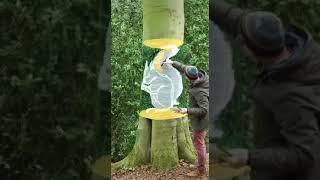 the magic of art..beautiful painting ever seen