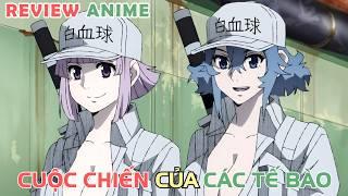 Cuộc Chiến Của Những Tế Bào (Black) | REVIEW PHIM ANIME HAY