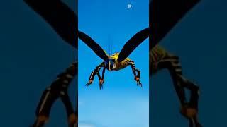 omor on fire transform into a bee #omoronfire #omoralwaysonfire #bee #sky #viral #foryou