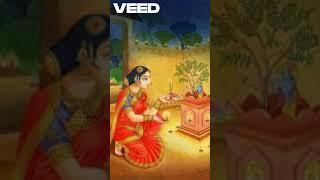 Did you know? Tulsi: The Goddess in Your Garden #Tulsi