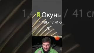 ОСУЖДАЮ ВЕС КАРАСЯ #русскаярыбалка4 #рр4 #russianfishing4