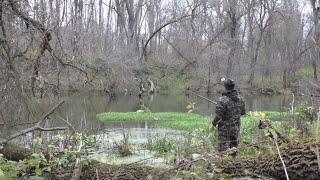 РЫБАЛКА НА ХИЩНЫЙ ПОПЛАВОК. Ловля щуки на живца в ноябре.