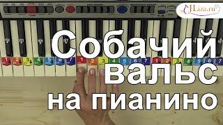 Как играть Собачий вальс на пианино. Ноты цифрами