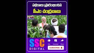 CM Chandrababu Launched Schemes | Free Bus Travel | Thalliki Vandanam | #Shorts #SSCDigital