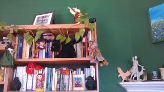 My Top 3 of 9 Magical Tools, Italian Folk Magic Edition | VR to Shamanic Arawak Priestess