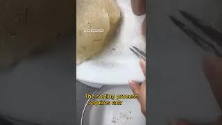 Why Is Bird’s Nest So Expensive? Here’s the Truth! #fyp #shorts #viral #trending