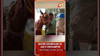 People Face Water Shortage In Sangyal Village Of Udhampur District  | OTV News English | OTV