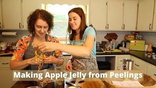 How to Make Apple Jelly from Apple Peelings and Cores