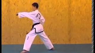 ITF Taekwon Do Patterns | Saju Jirugi