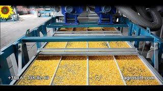 Работа сепаратора фракционного СФ 4 калибровка кукурузы / Fractional separator SF 4 corn calibration