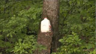 Gallon of Milk explodes on impact