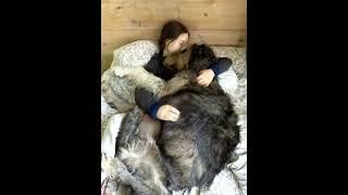 #pets #doglife #animals #petlover #cute #dog #d24