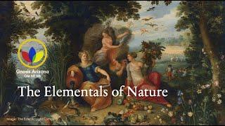 Working with the Elementals of Nature