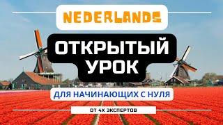 Как учить нидерландский, если вы начинаете с нуля? Открытый эфир 16/10/24