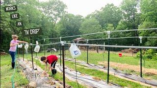 DIY gravity fed drip system using a milk jug