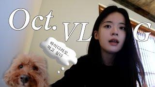 (Eng)의대생 vlog| 10월 브이로그  | 1일 1과외 |동기들과 부산 1박 2일인데 말해보카, 하이디라오 vip를 곁들인