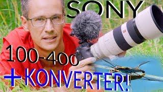 SONY 100-400mm GM + SEL14TC  Konverter Fokus und Bildqualität | TEST