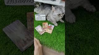Кто по Вам сохнет...чахнет...ночей не спит?