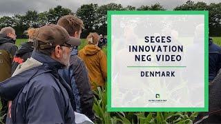 SEGES Innovation NEG Video | Denmark