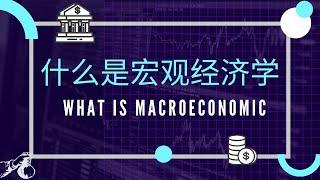 【经济学课程】 第十一课 || 什么是Macroeconomics 宏观经济学?