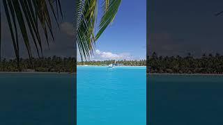 One more day in paradise #shortsvideo #short #shorts #youtube #shortsyoutube