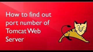 How to find out Port number of Tomcat Web Server