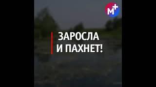 Смертельное ДТП. Здунов осмотрел "Саранск Арену". Аудиогид в Саранске. Новости Мордовии