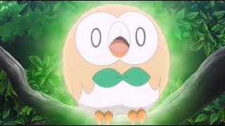 Rowlet's Cute Moments 2